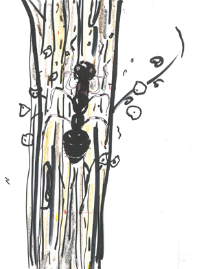 Shabdaguchha: Issue 51_52